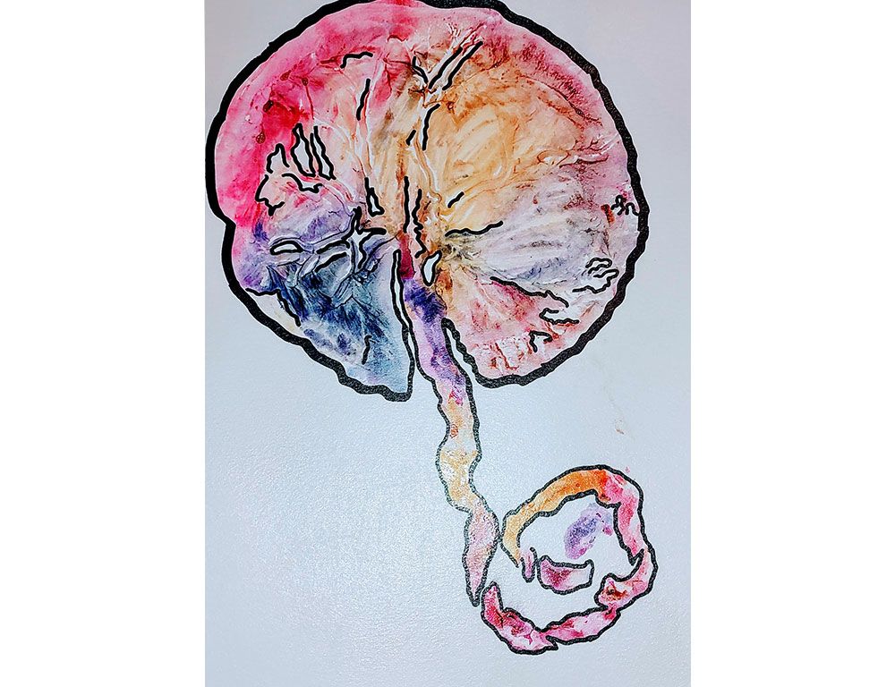 000000.jpg